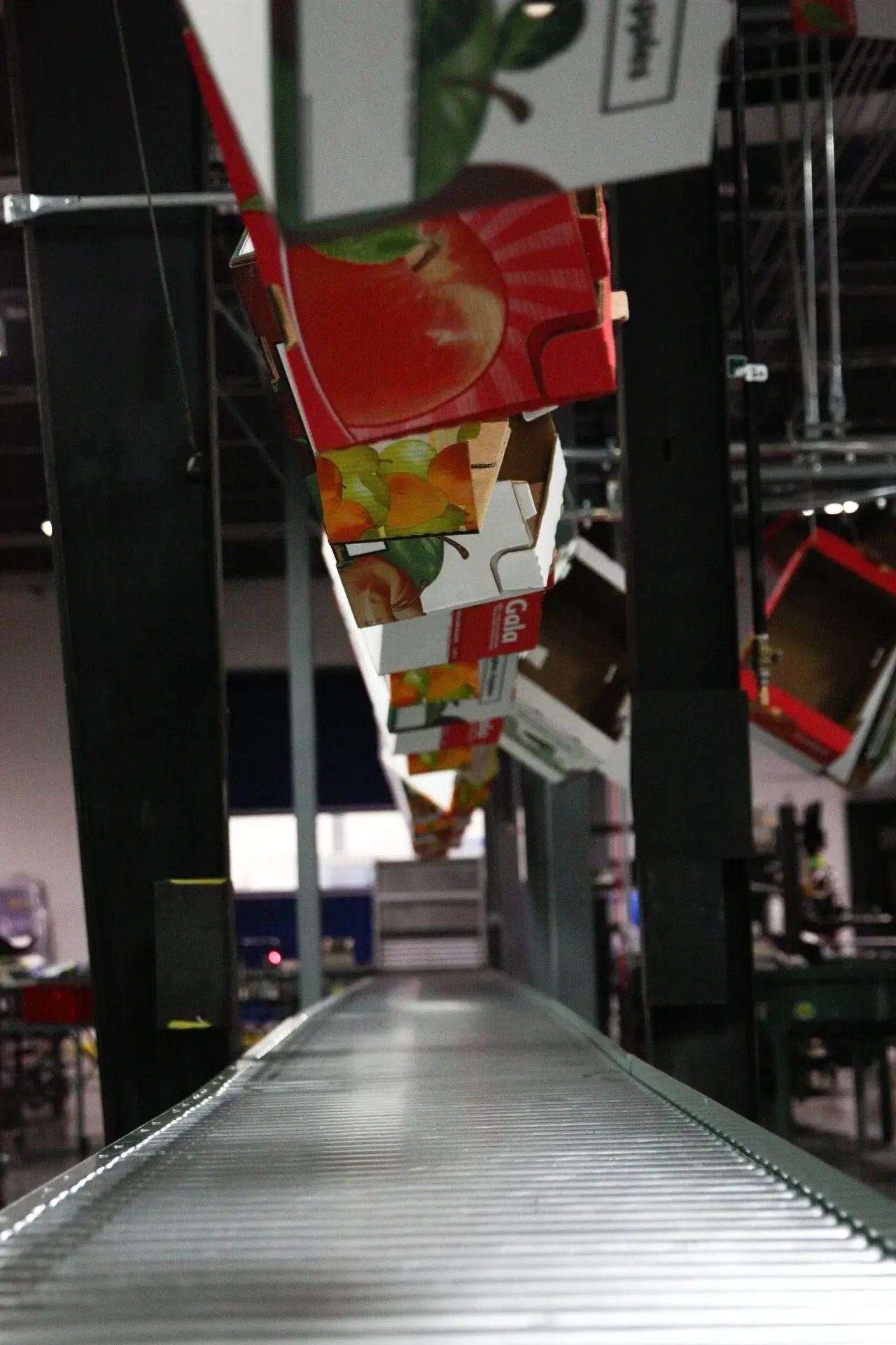 A conveyor belt with boxes of fruit on it.