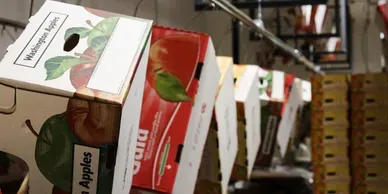 A row of boxes with an apple on them.