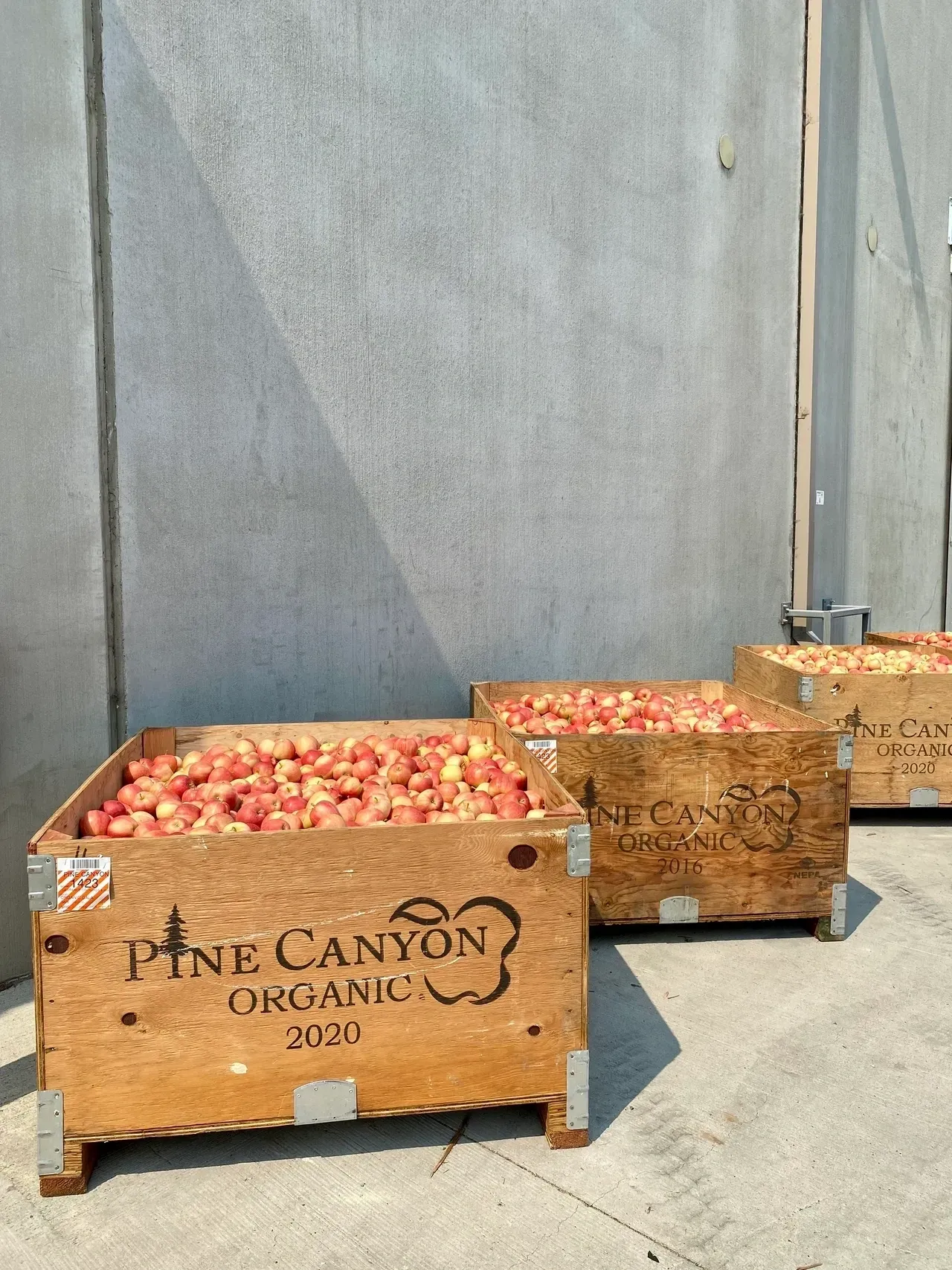 A couple of wooden crates filled with apples.